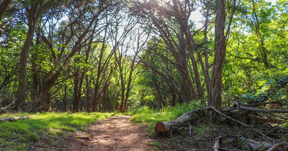 Abilene State Park: Texas' Most Popular State Park | Abilene, TX