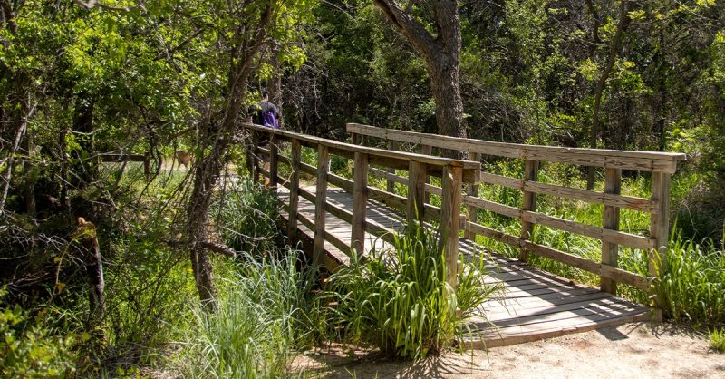 10 Reasons Why Abilene State Park is a Must Visit Destination Abilene TX