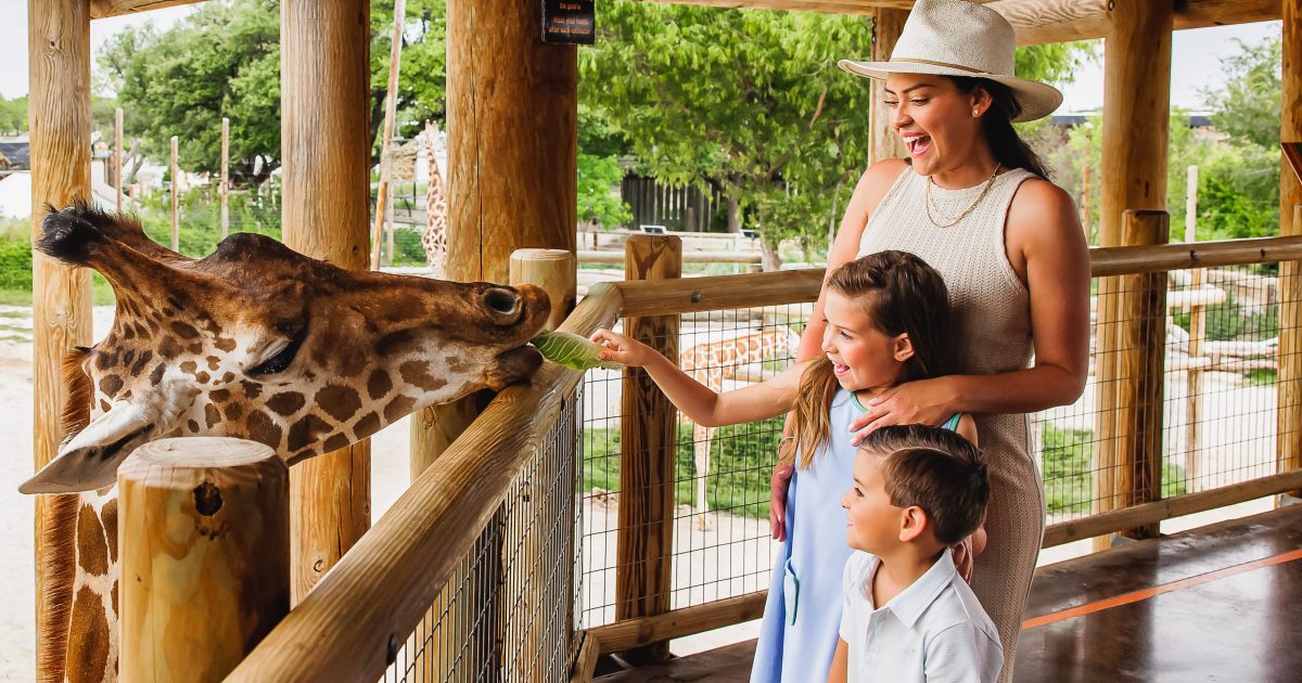 Abilene Zoo Entrance Fee